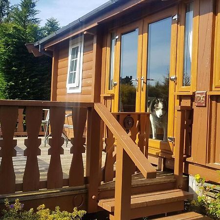 Trawsfynydd Cabin 아파트 외부 사진
