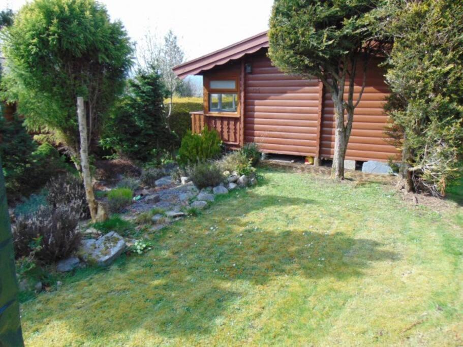Trawsfynydd Cabin 아파트 외부 사진