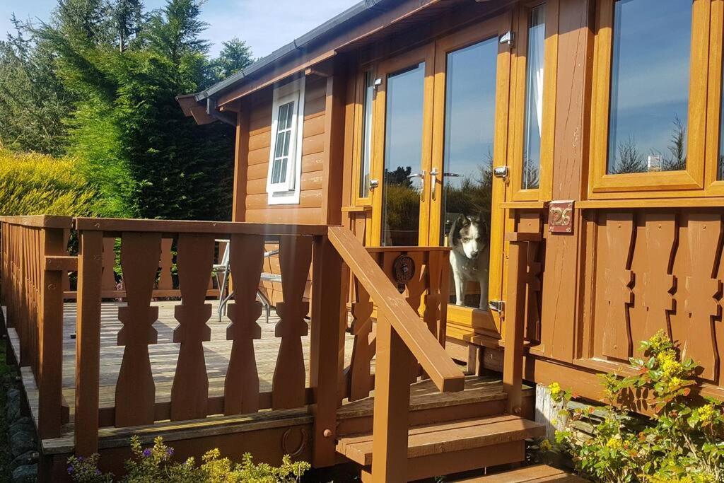 Trawsfynydd Cabin 아파트 외부 사진